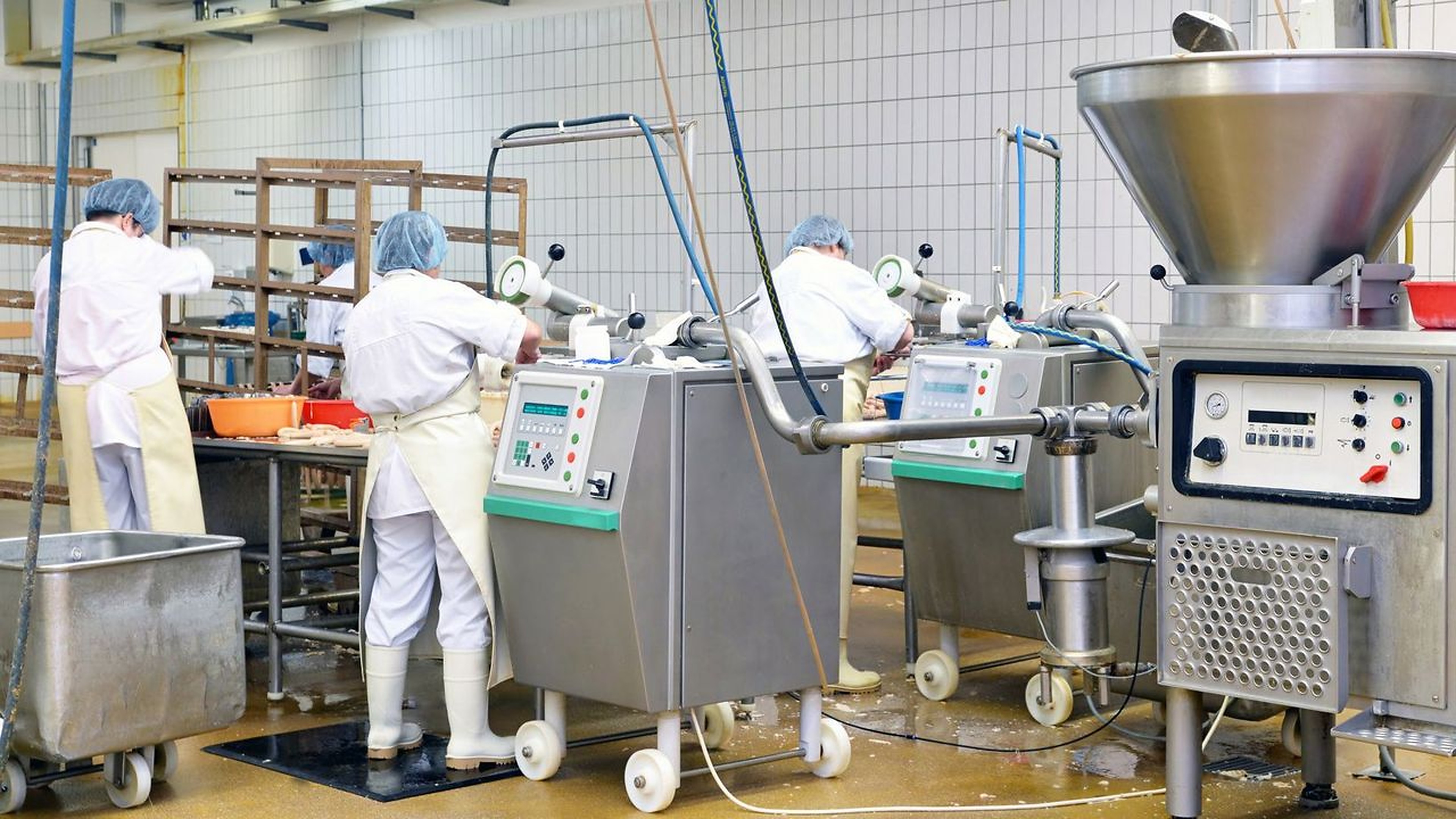 Industrial food-processing line — high-resolution reference photography